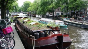 Amsterdam begrüntes Hausboot