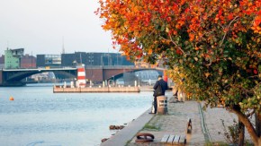 Herbst am Kanal in Kopenhagen