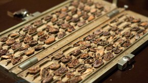 gespaltene Kakaobohnen im Chocoversum