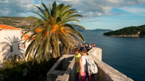 Palme in Dubrovnik