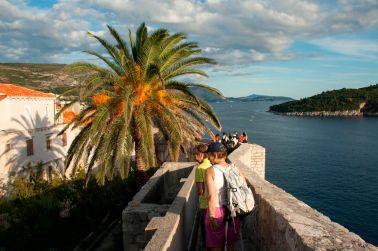 Palme in Dubrovnik