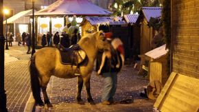 Esel auf Weihnachtsmarkt in Riga