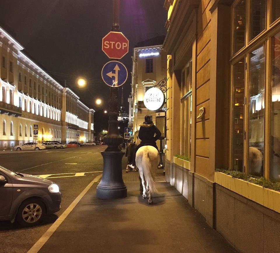 Dont mind me just riding my horse on the sidewalk