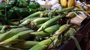 Grünes Gemüse in spanischem Supermarkt New Jersey