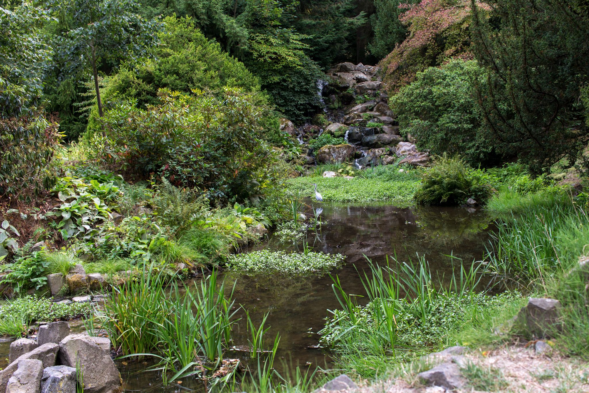 Seendlandschaft im Bergpark Wilhelmshöhe