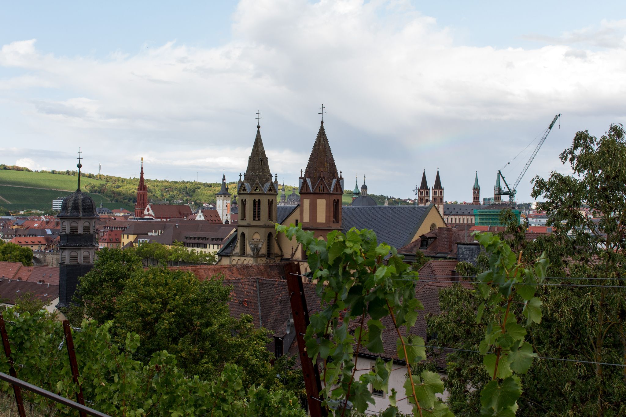 Würzburger Türme durch die Weinberge