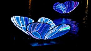 Butterfly Effect Artwork Amsterdam Light Festival 2019