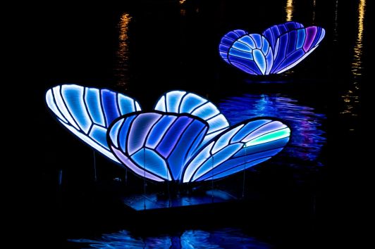 Butterfly Effect Artwork Amsterdam Light Festival 2019