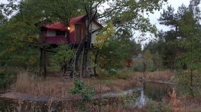 Baumhaushotel im Teich