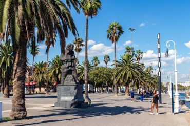 Palmen im Hafen von Barcelona