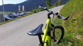 Genesis e-Pro 2.1 Mountainbike in Fiss