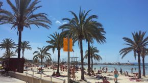 Strand, Palmen und Yachten auf Mallorca