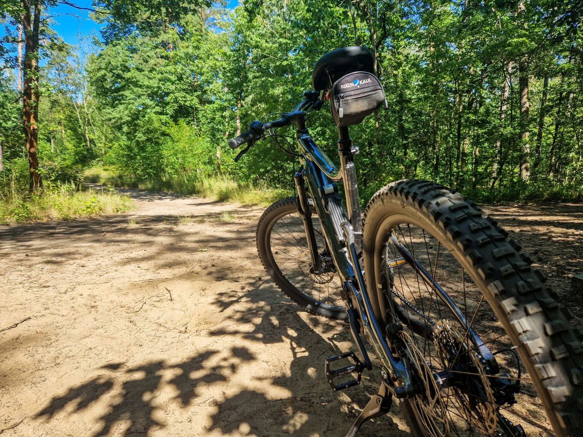 Giant Stance E+ Fully in der Dresdner Heide