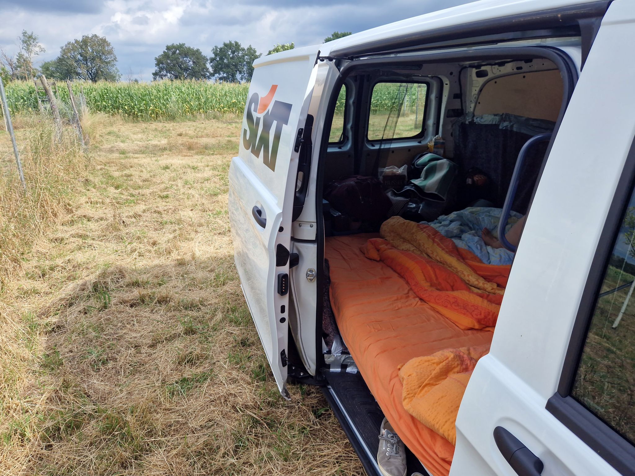 Sixt Vito im Maisfeld in Brandenburg