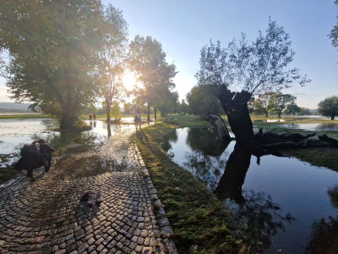 Überfluteter Elberadweg bei Flut 2024