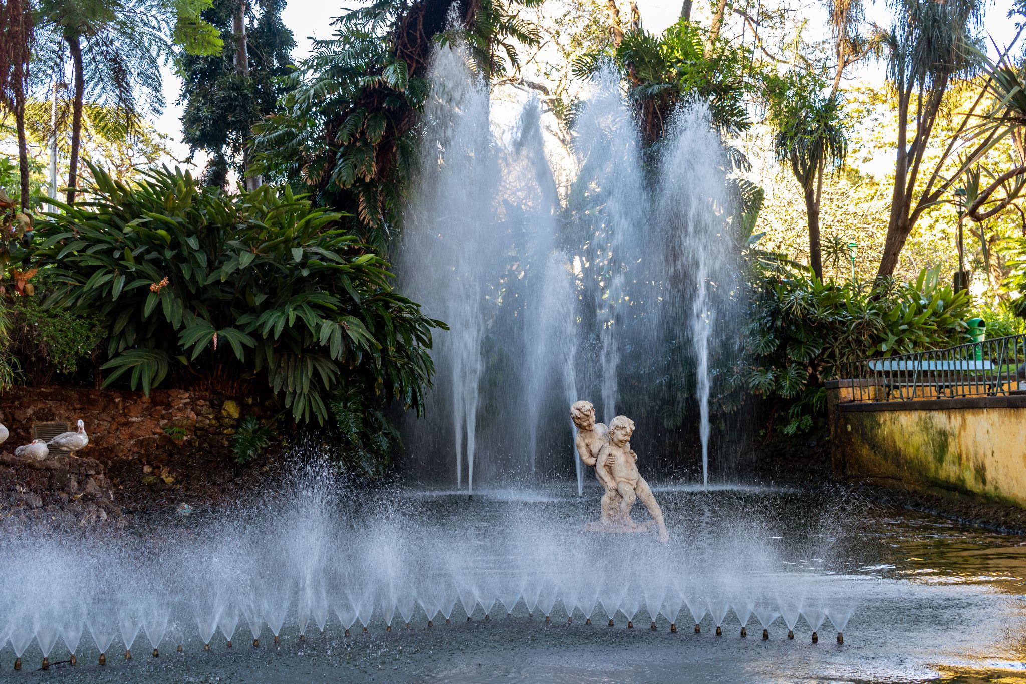 Springbrunnen in Park in Funchal, Madeira