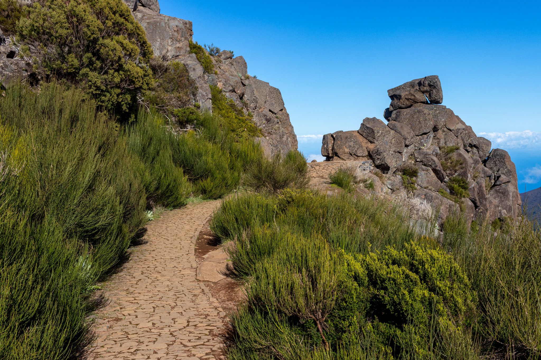 Überwachsener Wanderweg am Pico do Arieiro, Madeira