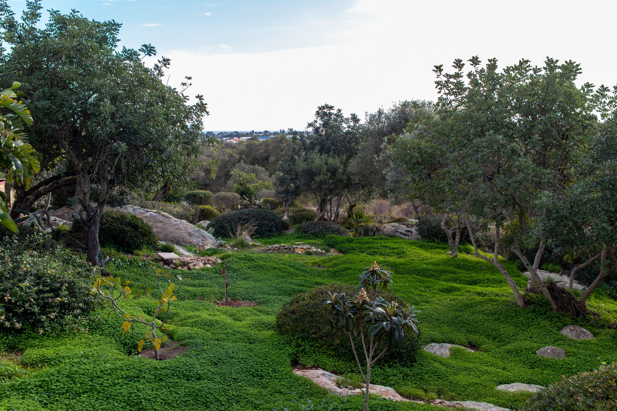 Garten von Joan an der Eco Villa Fuseta, Portugal