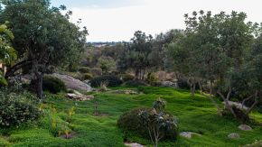 Garten von Joan an der Eco Villa Fuseta, Portugal