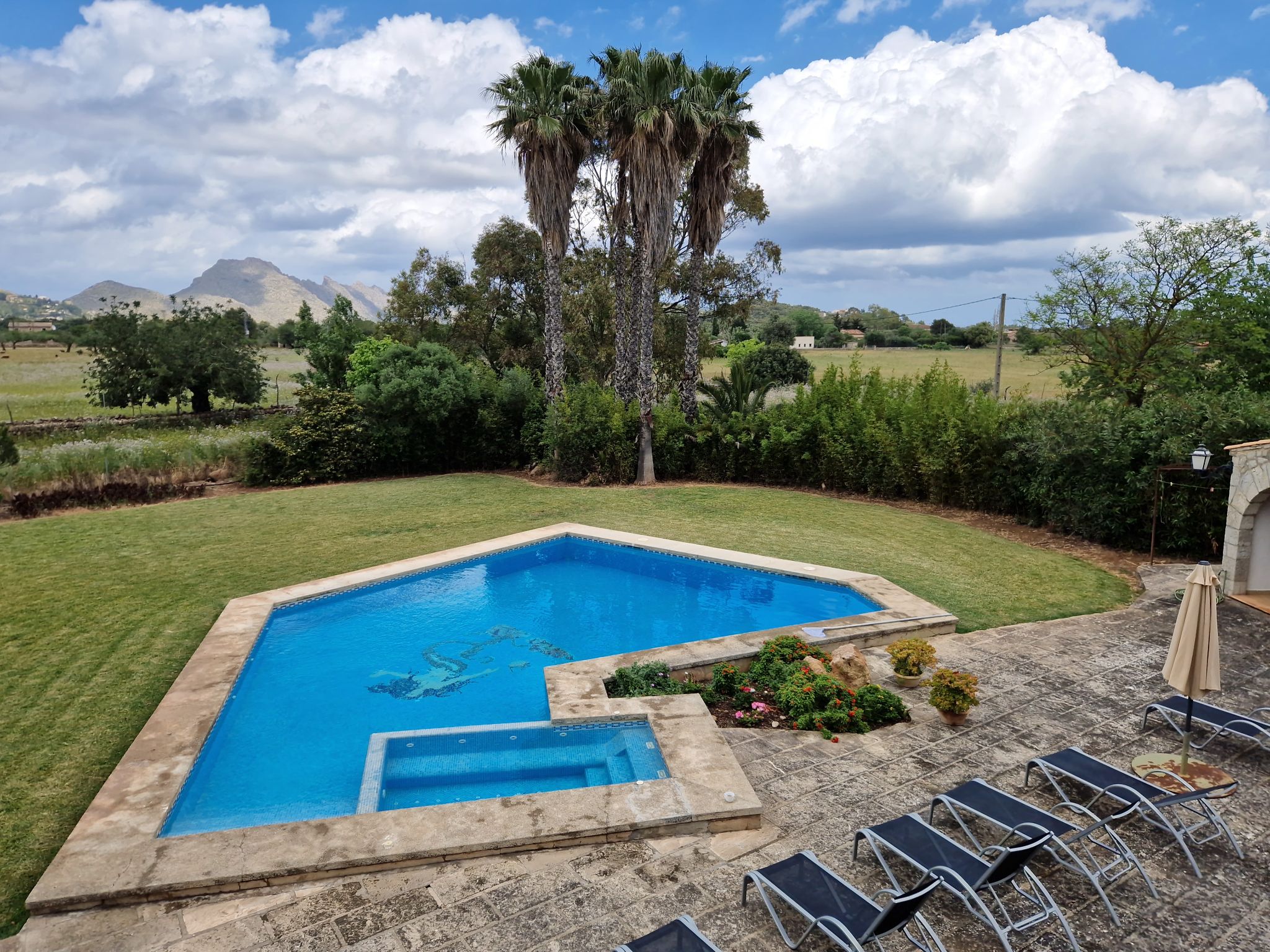 Garten von Villa auf Mallorca mit Palmen und Pool