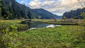 Goldstream mündet in Finlaysorm Arm des Saanich Inlet, Vancouver Island, Kanada