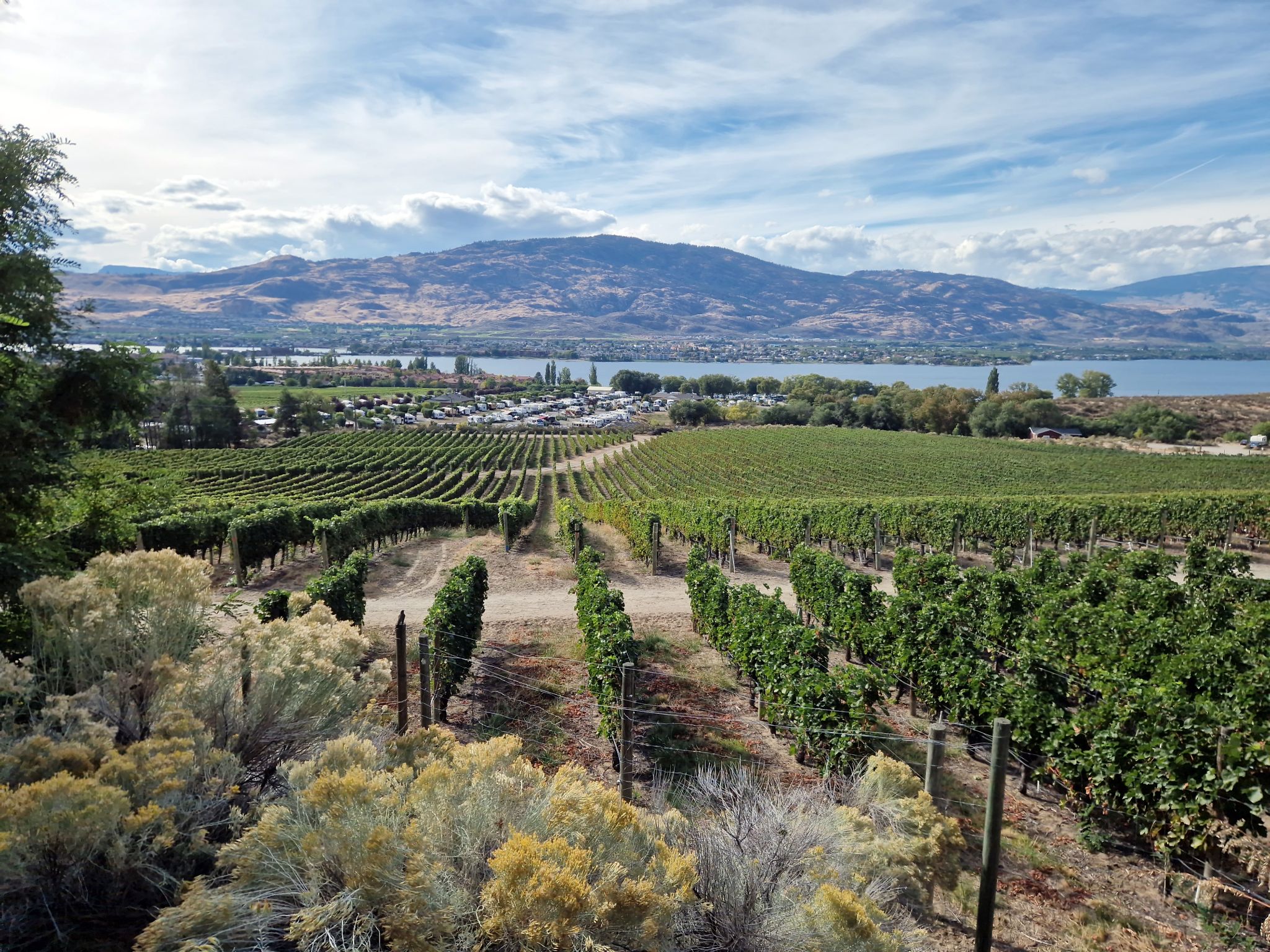 Nk'Mip Cellars Weingut am Lake Osoyoos, Kanada