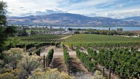 NkMip Cellars Weingut am Lake Osoyoos, Kanada