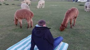 Robert auf Wiese mit Alpakas, Hohenbucko, Brandenburg