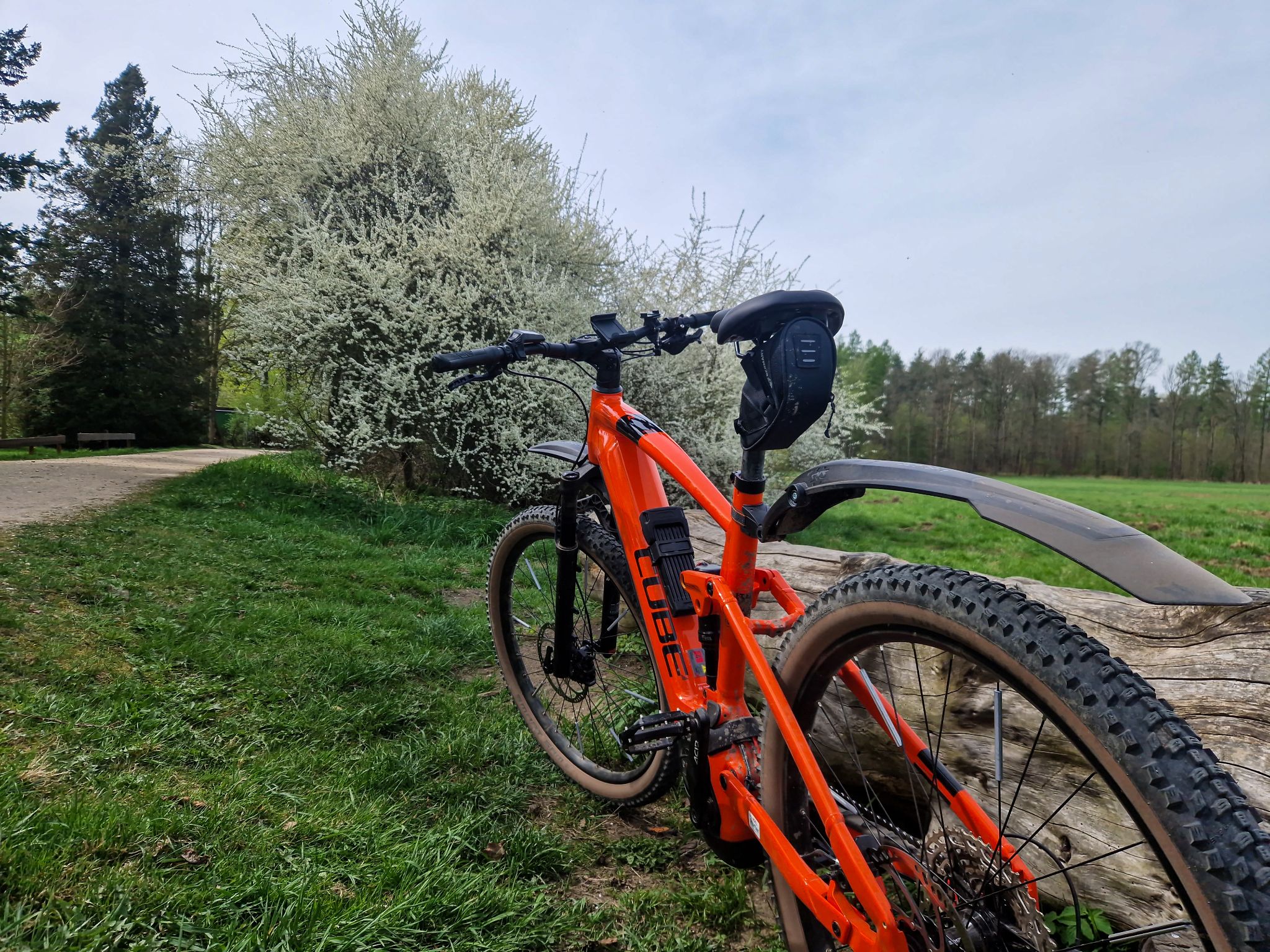 eBike an der Hofwiese, Dresdner Heide