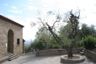 Vinci (10)