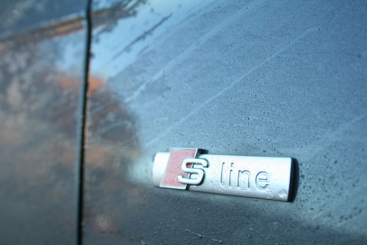 S-Line Logo