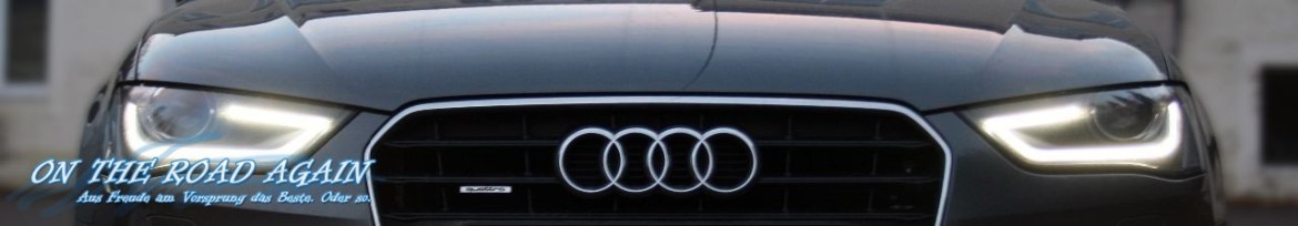 Audi A4 Kühlergrill / Front