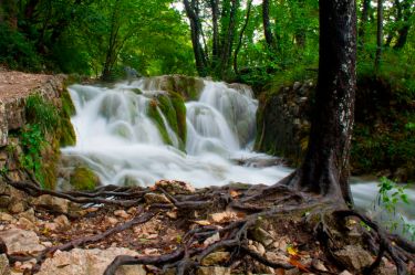Nationalpark Plitvicer Seen Kroatien (1)