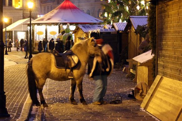 Esel auf Weihnachtsmarkt in Riga