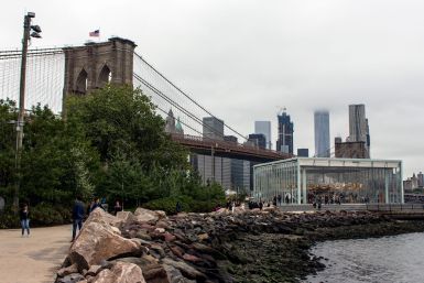 Brooklyn Bridge and Carousel