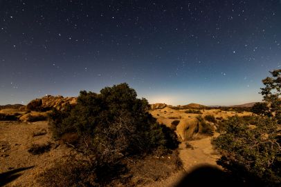 Sternenhimmel im Josuha Tree Nationalpark