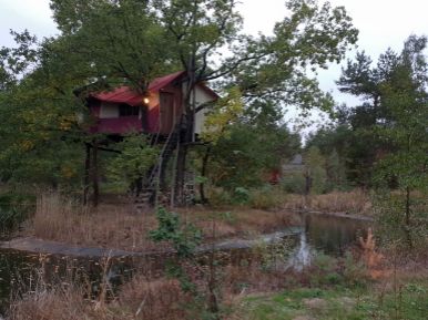 Baumhaushotel im Teich