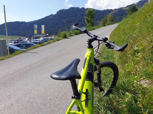 Genesis e-Pro 2.1 Mountainbike in Fiss